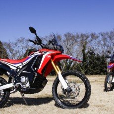 Honda CRF250RALLY Honda CRF250RALLY